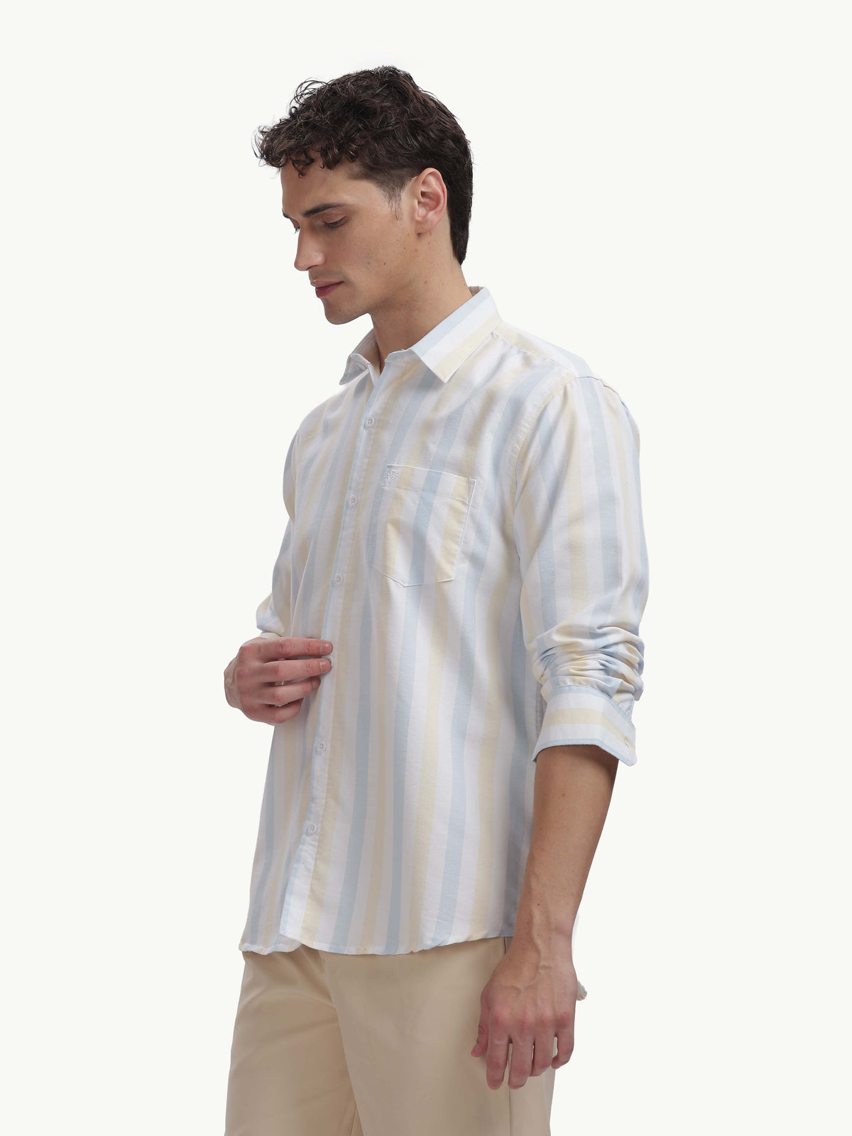 Multi Color Full Sleeve Oxford Cotton Shirt