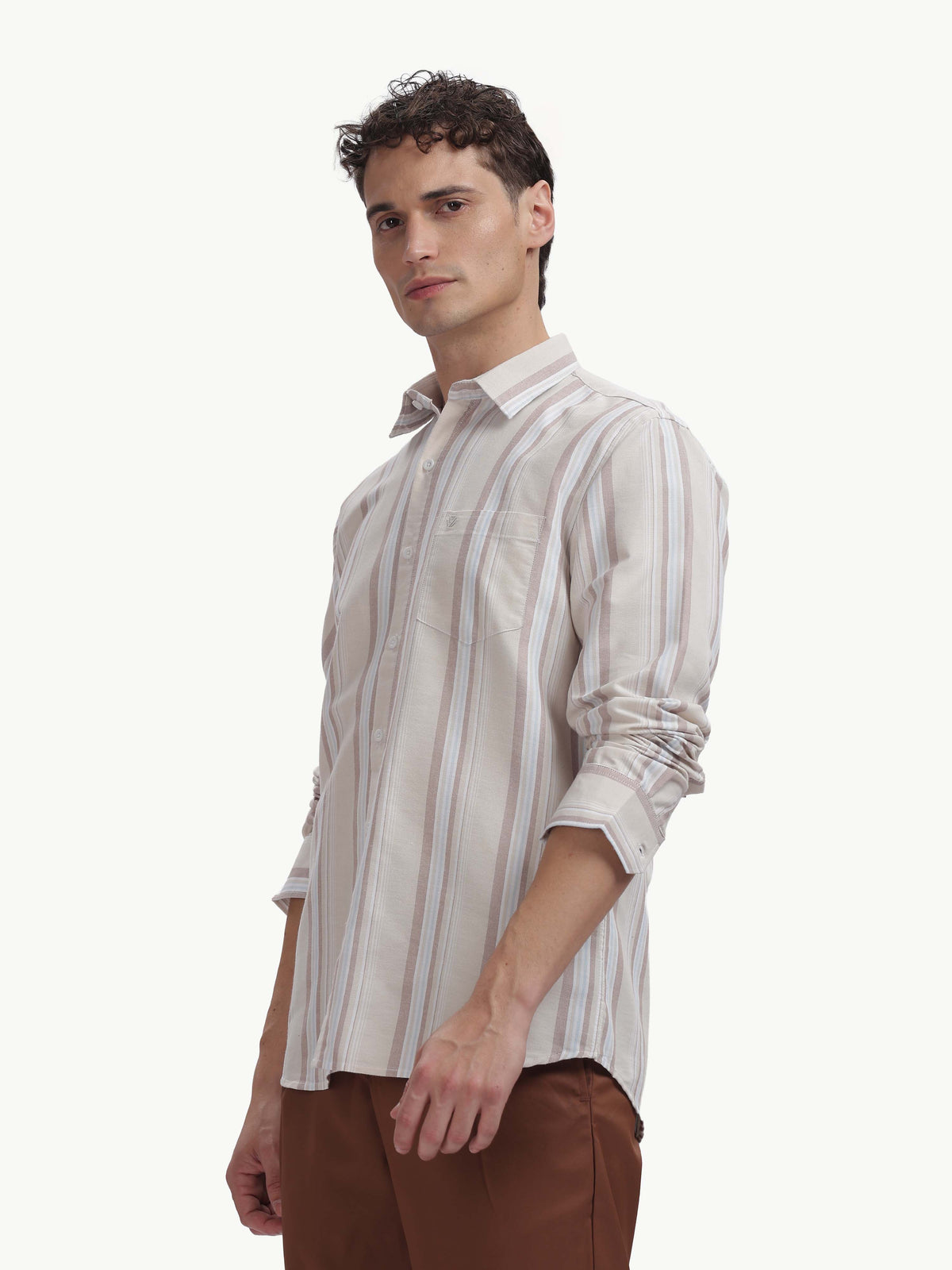 Multi Color Full Sleeve Oxford Cotton Shirt