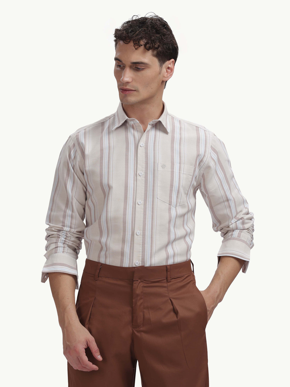 Multi Color Full Sleeve Oxford Cotton Shirt