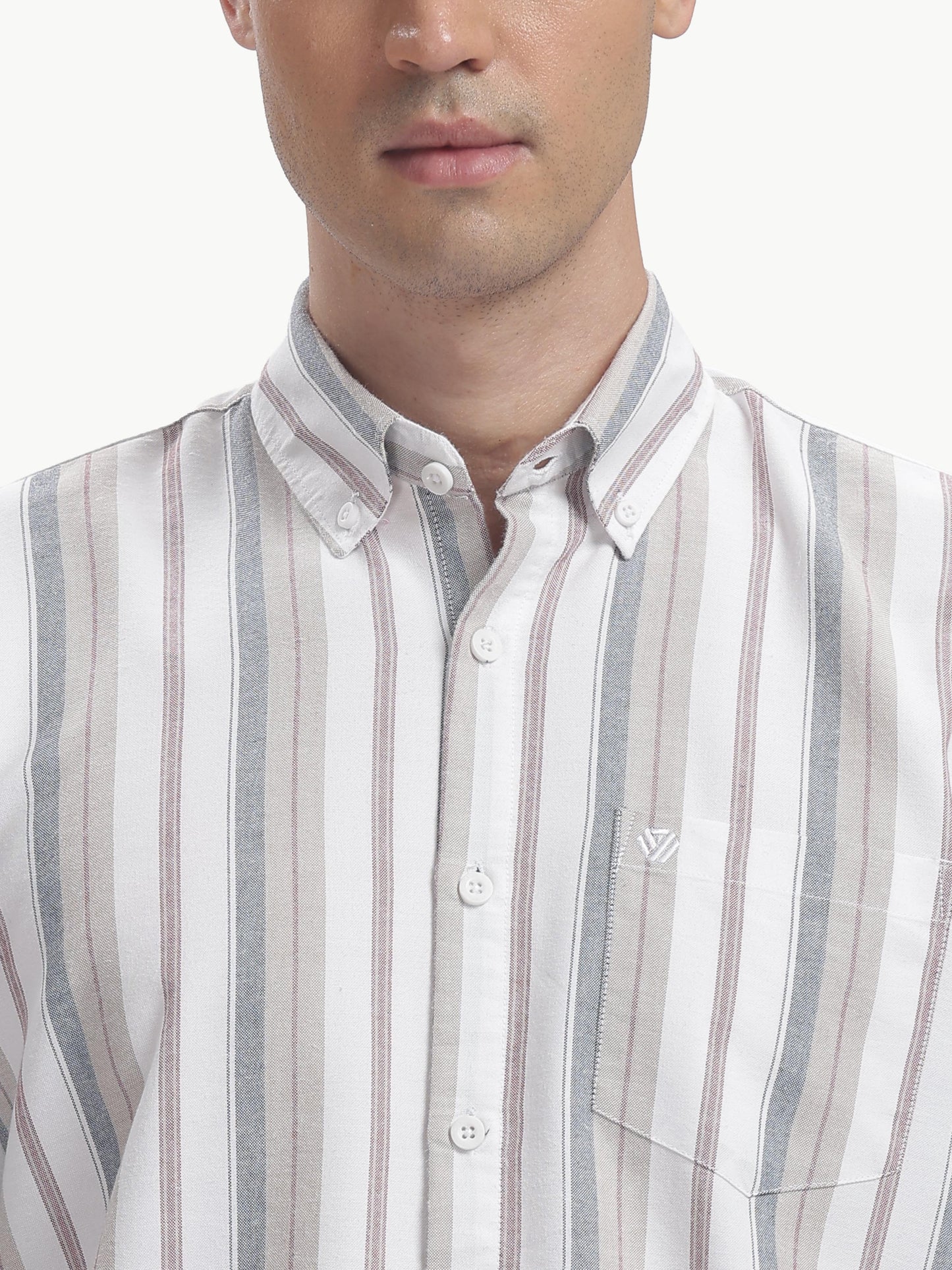 Multi Color Full Sleeve Oxford Cotton Shirt