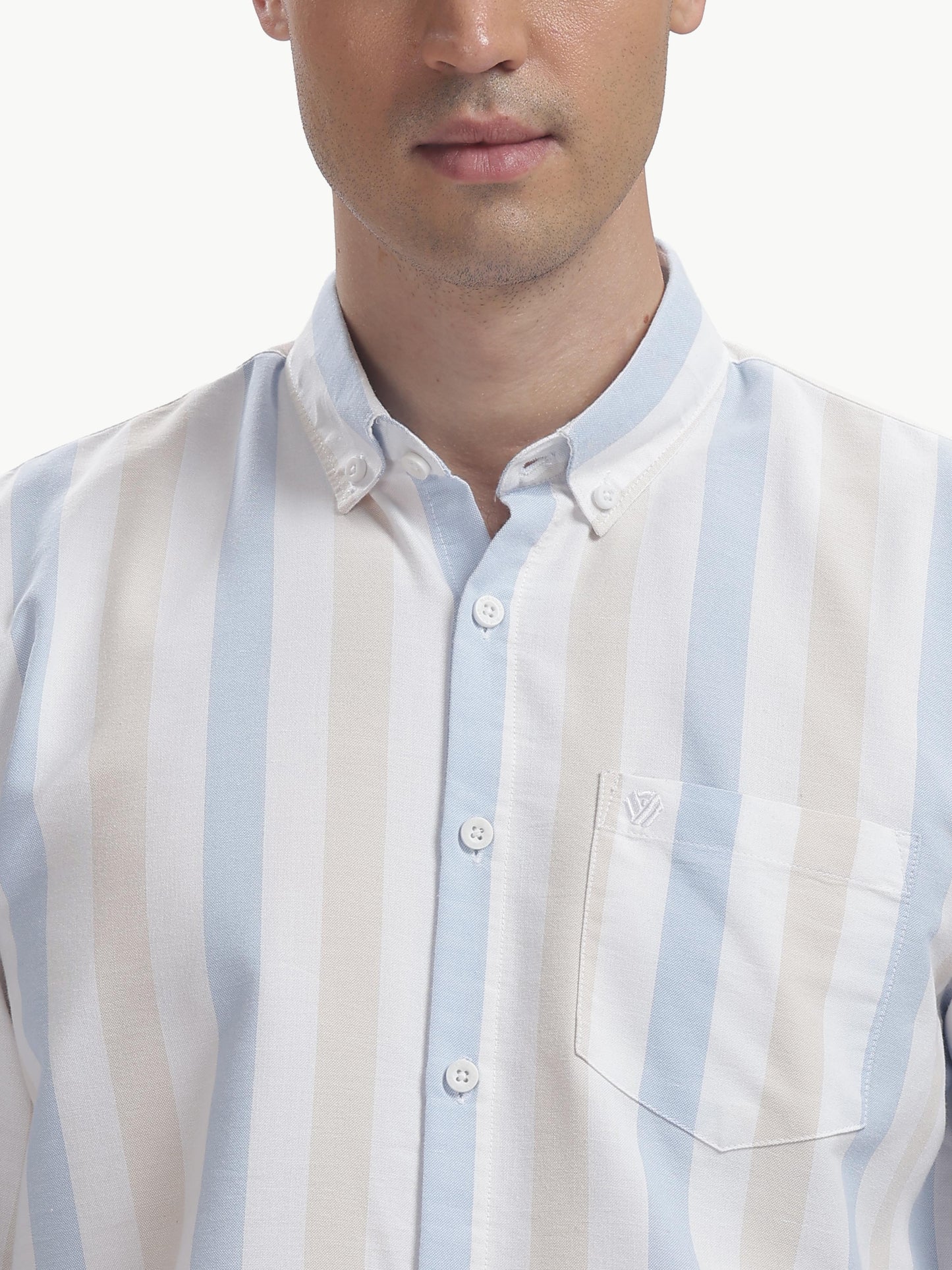 Multi Color Full Sleeve Oxford Cotton Shirt